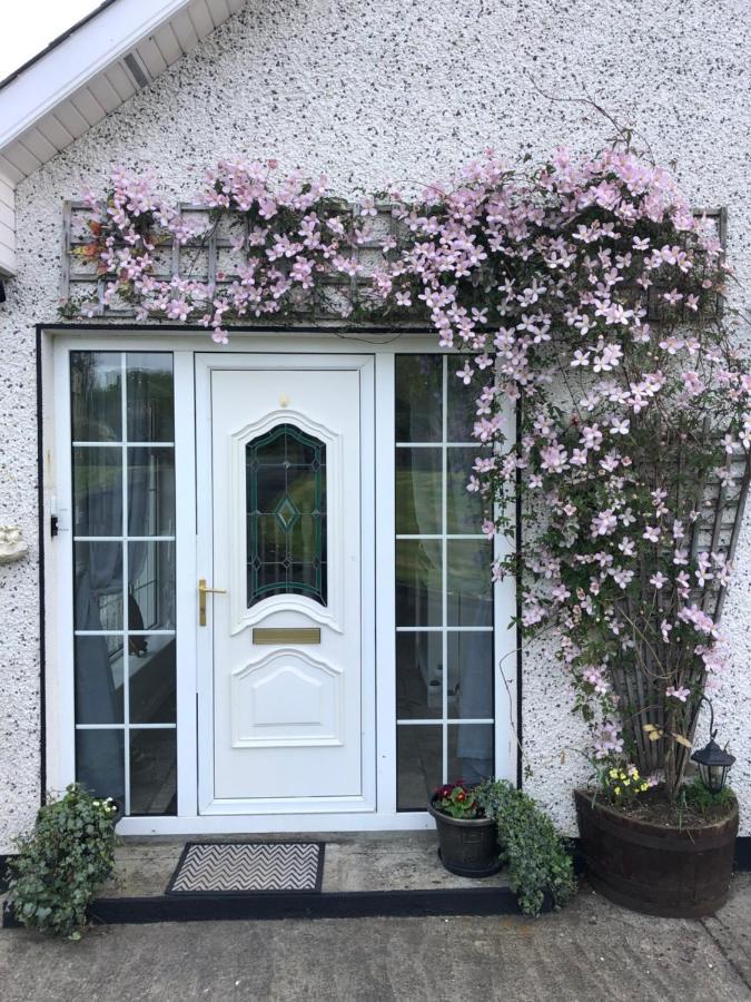 Lough Aduff 5 Minutes From Carrick On Shannon * County Leitrim